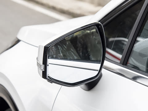 2026�� ����������