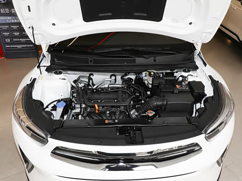 2026�� 1.4L Ȥ���Զ���