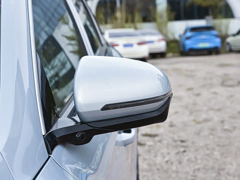 2026�� DM-i 220KM��Խ��