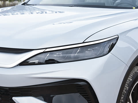 2026�� DM-i 220KM��Խ��