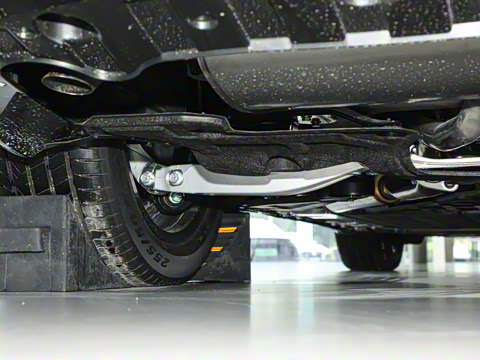 2026�� ���� Max+