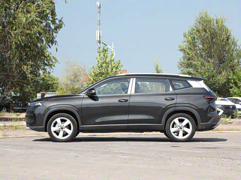 2026�� 280TSI �Զ����а�