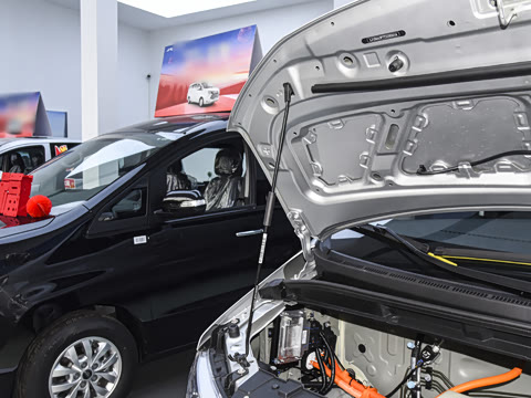 2026�� ��Ӣ��