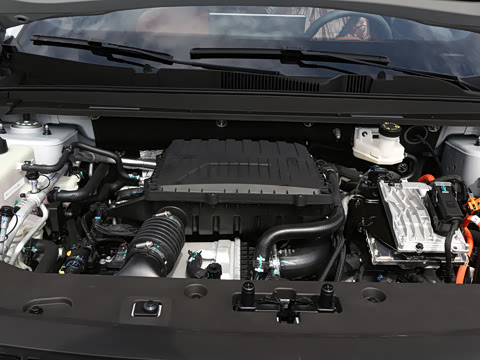 2026�� 121km ������ 5��