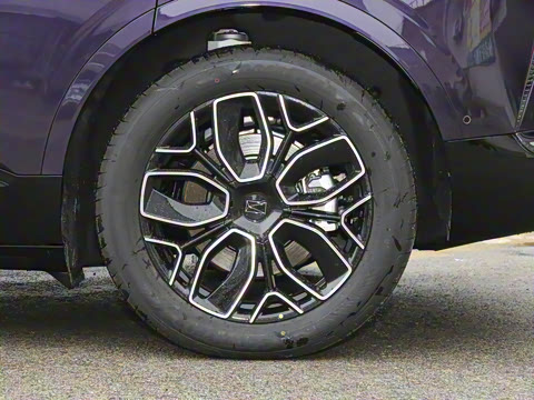 2026�� Elite �����