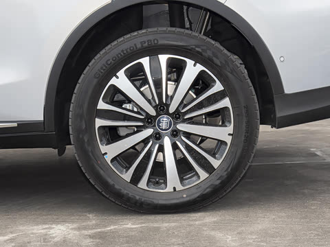 2025�� �Ǽݰ� DM-i 175KM �����״��콢��