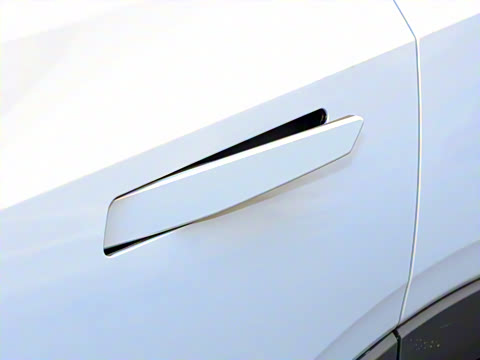 2026�� Ӱ�� 270T ������