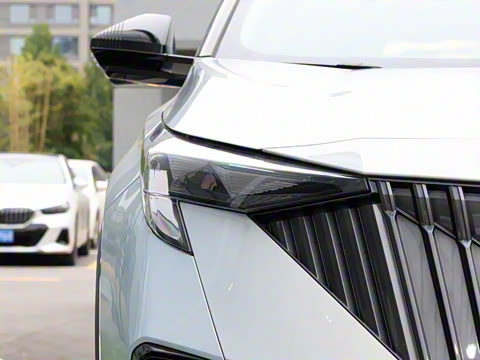 2026�� Ӱ�� 270T ������