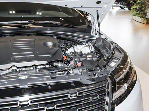 2026�� 250PS Dynamic SE