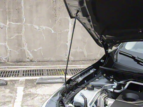 2026�� 1.6L CVTʡ�İ�