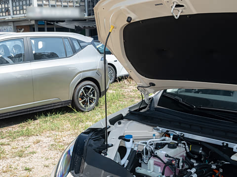 2026�� 520�Ǻ���