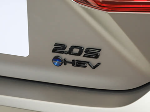 2026�� ˫�� 2.0HXS ��԰棨ĥɰ��