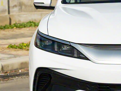 2026�� DM-i 133KM��ȡ��