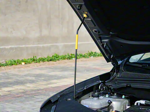 2026�� DM-i 133KM��ȡ��