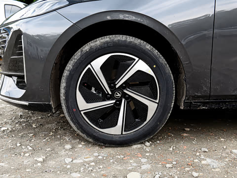2026�� 1.5L �������� ������
