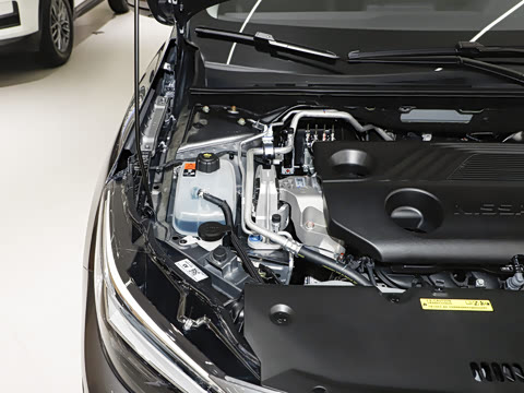 2026�� 1.6L CVT������