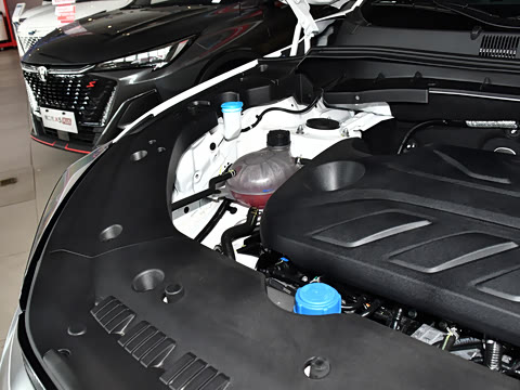 2025�� PRO 1.5T DCT ������ 7��