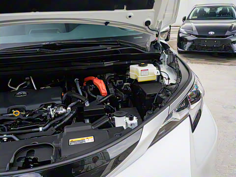 2026�� 2.5L ˫������������