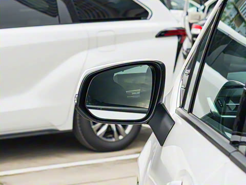 2026�� 2.5L ˫������������