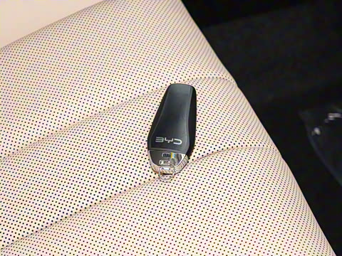 2026�� DM-i 133KM��Խ��