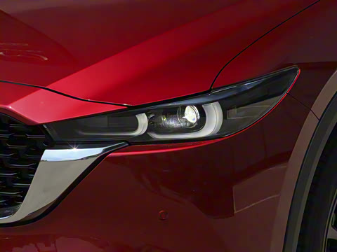 2025�� 2.0L �Զ���������Pro