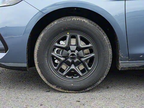 2026�� DM-i 128KM������