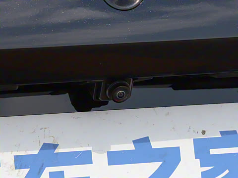 2025�� ���� 230Pro�캽��