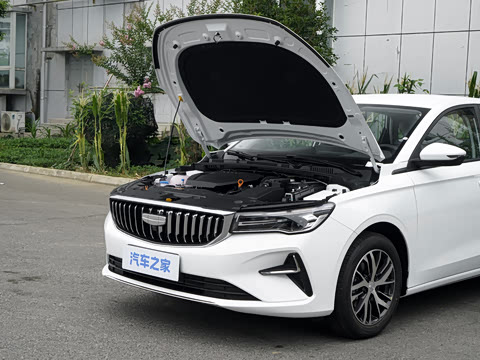 2027�� ���� 1.5L �ֶ�������