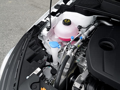 2027�� ���� 1.5L �ֶ�������