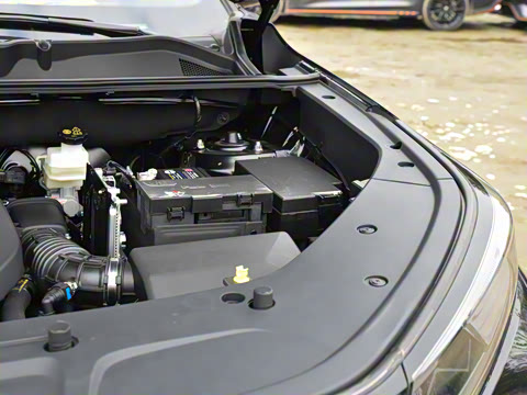 2026�� �ǻ۹ھ��� 1.5T ������ �Ǻ���