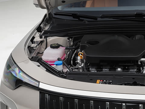 2026�� 1.5L �����