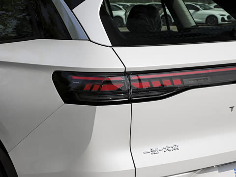 2026�� 450TSI ��������