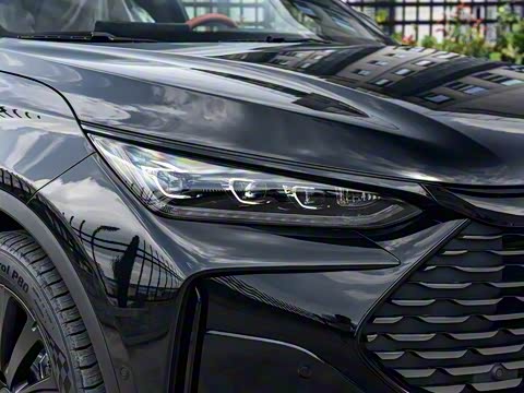 2025�� �Ǽݰ� DM-i 175KM ������