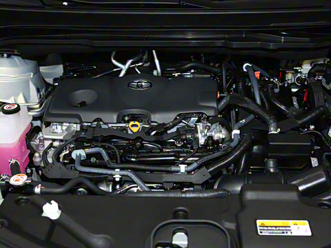 2026�� 2.5L ˫��������������