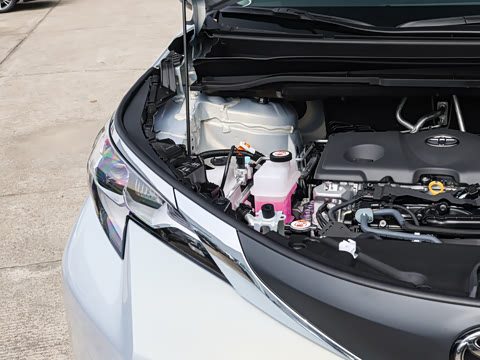 2026�� 2.5L ˫���������ʰ�