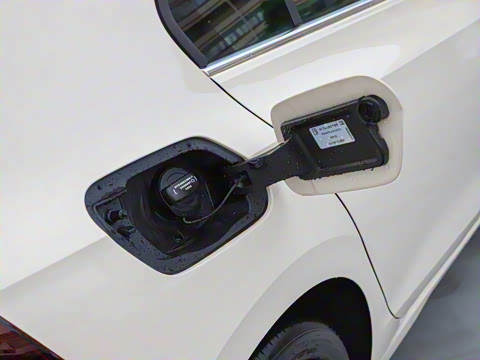 2025�� �Ŀ� 300TSI Pro