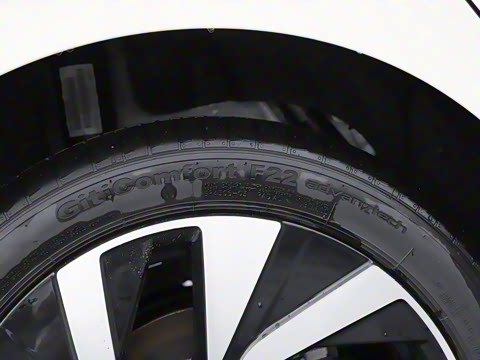 2025�� �Ŀ� 300TSI Pro