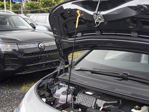 2026�� ������ ���ڰ�