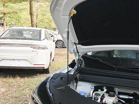 2026�� 650 ��׼��