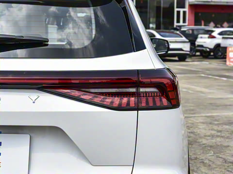 2025�� 290T ��������+