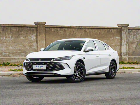 2026�� DM-i 210KM��Խ��