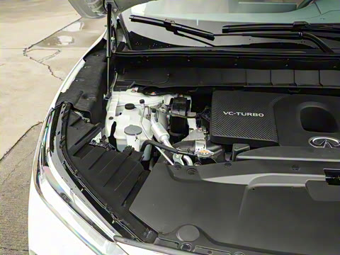 2024�� 2.0T ����������