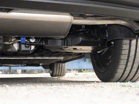 2026�� ������������Plus