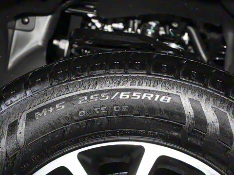 2025�� ̽�������Զ��� ����