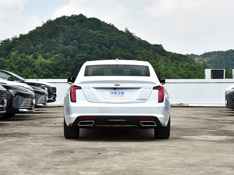 2025�� 28T �����˶���