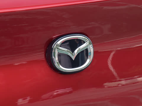 2025�� 2.0L �Զ����Ű�