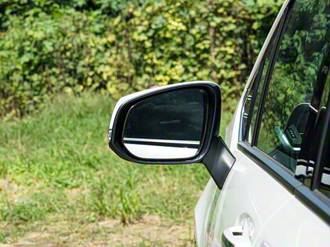 2026�� 2.5L ˫������������