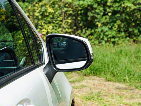 2026�� 2.5L ˫������������