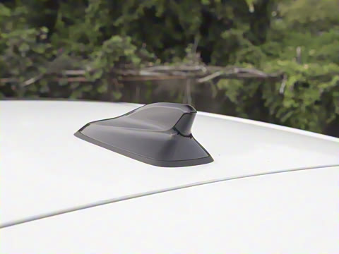 2026�� 300TSI Pro