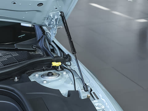 2025�� 300L �����������ǰ�